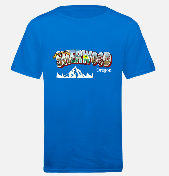 Regular Skateboards - Tshirt Blue 6